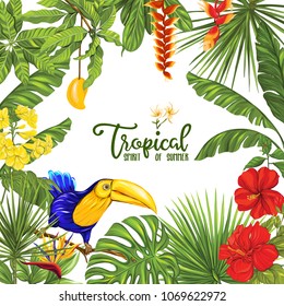 Template of poster, banner, postcard with tropical flowers and plants and toucan bird on white background. Stock vector illustration.