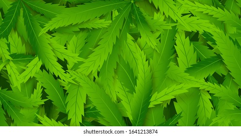 Template poster with cannabis or marijuana leaf background. Realistic abstract hemp plant composition. Health green product. Smoke grass. Vector Illustration