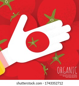 Template poster with fresh organic tomato on hand. Vegetable banner concept in modern flat style on flat red tomato background. Vector illustration