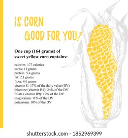 Template poster with vector corn. Vector healthy food is everyday value. Organic yellow antioxidant in modern style. Illustration on points and paint brush background
