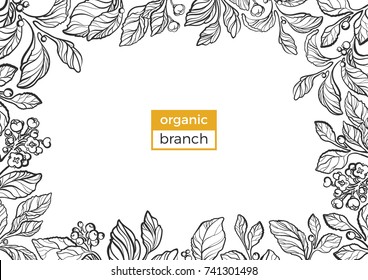 Template of realistic branches with leaves, berry and flowers. Organic food. Silhouette, art line. Nature botanical illustration in frame. Sketch. Vector isolated on white background eps.10