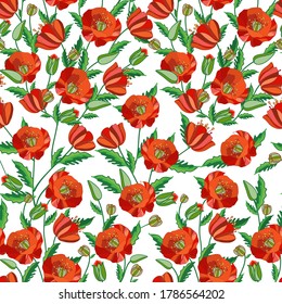 Template. Red poppies on a white background. Vector graphic drawing. Can be used for interior design, web design, magazines, covers, fabrics, paper.