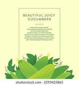 a template with ripe cucumbers and text. eco-friendly healthy food vegetables. vegetables from the garden