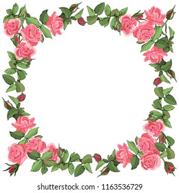 Template with roses and leaves isolated on white background. 
