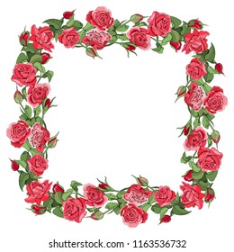 Template with roses and leaves isolated on white background. 