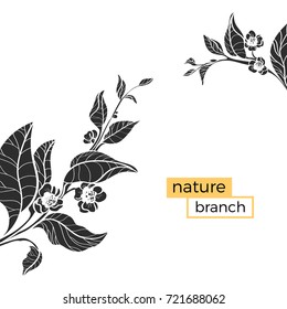 Template with silhouette of branches. Vector floral illustration. Realistic leaves and flowers on white background. Design, shape. Copy space. Eps.10