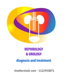 Template simple style logo, banner, poster, flyer for medical clinic, cabinet. Concept diagnosis and treatment nephrology, urology, urogenital system, kidney, ureter and bladder. Vector illustration