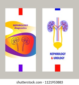 Template simple style logo, banner, poster, flyer for medical clinic, cabinet. Concept diagnosis and treatment nephrology, urology, urogenital system, kidney, ureter and bladder. Vector illustration