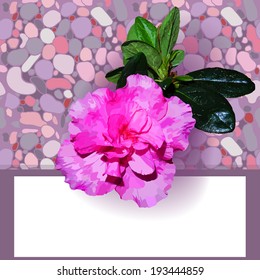 Template with space for text and azaleas flower and sea stones