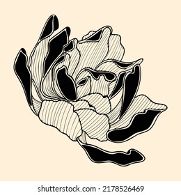 Template for tattoo, typography, decor design, covers. Stylish hand-drawn illustration with a flower. Background in black and beige colors. Japanese vintage graphic style. Line art.