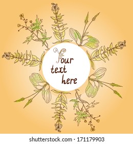 Template for text decorated with wild flowers and herbs