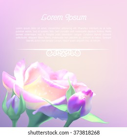 Template for the text with a rose. Invitation to the wedding, birthday. Postcard for the feast of the summer, or Mother's Day