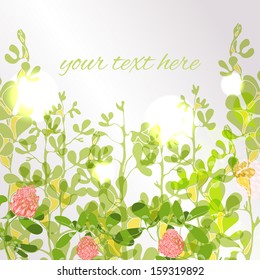 Template for text in view of the green meadows of flowers of clover in the sunshine. Used clipping mask.