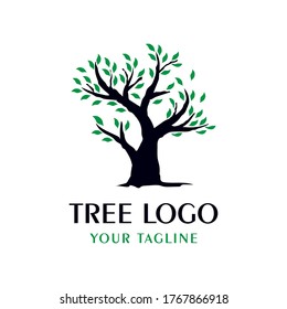 Diseño de logotipo de árbol de plantillas para su empresa