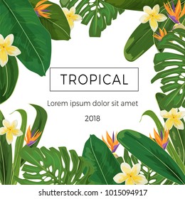 Template with tropic plants and flowersand place for text. Summer design.