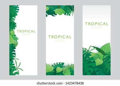 Template of tropical leaves banner design with space for text. Vector illustration