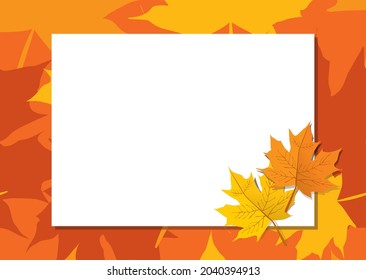 Template vector for Autumn concept, maple leaf frame, white space for copy and design. Horizontal layout template, orange tone.