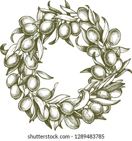 Template with vector hand drawn sketch Illustration olives and leaves  wreath. Design olives frame, label, packaging, print, greeting card, invitation