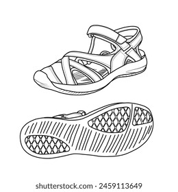 Template vector hiking sandals. Outline vector doodle illustration. Front, side, and bottom views isolated on a white background