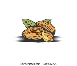 Template Vector Walnuts Food Sign Symbol Hand Drawn Logo Design Inspiration