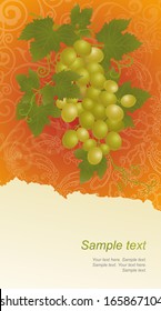 Template with vine grapes. 