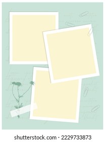 Template vintage decoupage collage for photo book, digital scrapbooking,  reminders, social media, notes, to do list. Scrapbooking decoupage herbarium chamomile.