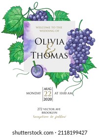 Template of wedding invitation card. Decorative dates frame with grape bunches with leaves. Botanical vector illustration. Vintage engraving style. Sketch design with purple grapes.