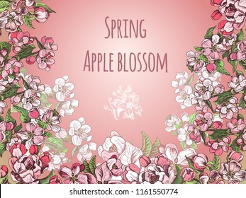Template for wedding invitation. Card vector illustration with apple blossom.