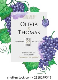 Template of wedding invitation card in vintage engraving style. Decorative dates frame with grape bunches with leaves. Botanical vector illustration. Sketch design with purple grapes.