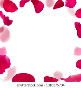 Template wedding invitation with rose petals. Floral frame vector illustration.