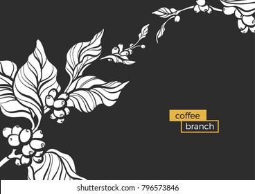 Template with white branch of coffee tree, leaves and natural coffee beans Realistic organic product Silhouette, organic shape Botanical illustration. Vector design isolated on black background eps.10