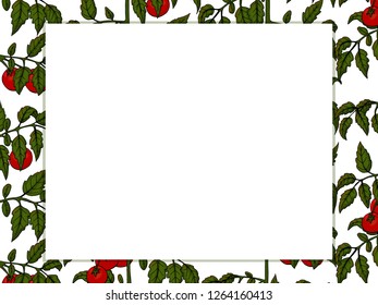 Template for your design. Bush tomato and blank for text. Hand-drawn. Vector illustration. For cafe menu, restaurant.