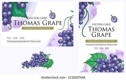 Templates of Business cards set, botanical identity style. Decorative frame with grape bunches and leaves. Botanical vector illustration. Sketch design with purple grapes.