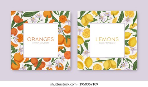 Templates with hand-drawn tropical citrus frames and white backgrounds. Square card design with lemon and orange fruits on borders. Colored realistic vector illustration for cosmetic packaging