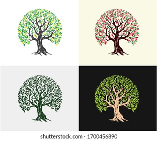 templates of  tree logo and roots, tree of life design illustration
