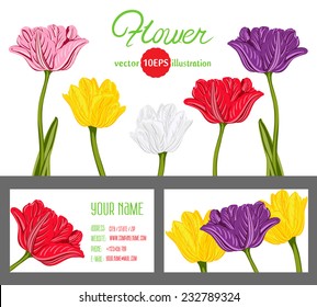 Templates with tulips colorful flowers Abstract decoration background with space for your text. Suitable for various designs, invitation, thank you card, save the date cards. Vector 10 EPS
