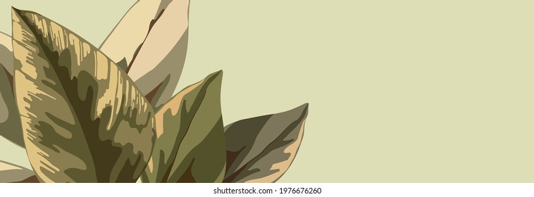 templates for web banner with abstract natural, botanical pattern. Large leaves green and pink. Minimal floral, Plant design for print, internet site of cosmetic product, beauty salon and spa.