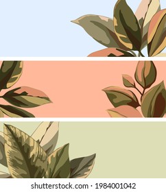 templates for web banner with abstract natural, botanical pattern. Large leaves green and pink. Minimal floral, Plant design for print, internet site of cosmetic product, beauty salon and spa.