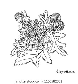 Temporary tattoo and t-shirt design boho art. Hand drawn flowers for the anti stress coloring page