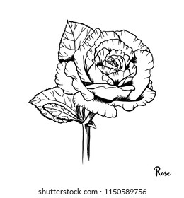 Temporary tattoo and t-shirt design boho art. Hand drawn flowers for the anti stress coloring page