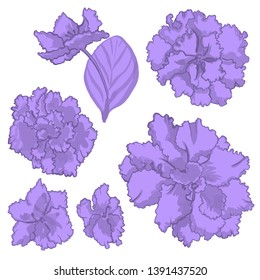 Temporary tattoo and t-shirt design boho art, sticker. Hand drawn violets set, bouquet flowers 