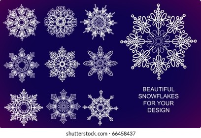Ten beautiful snowflakes