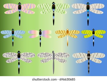 Ten bright dragonflies with glass, iridescent wings