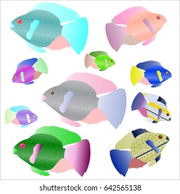 Ten bright fish. Vector illustration.