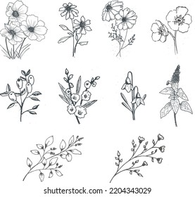 Ten different isolated flowers. Hand drawn inky botanical illustrations. Illustrations for wedding stationary