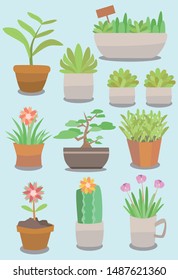 Ten different plant potted material combinations