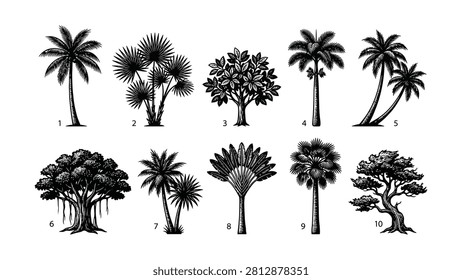 Ten distinct black line drawings of different tropical and palm trees