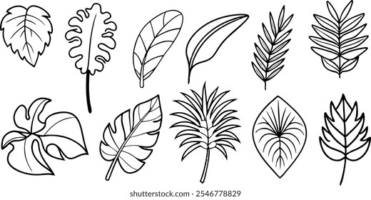 Ten diverse tropical leaves illustrated in a simple, clean line art style. Perfect for design projects, patterns, and nature-inspired visuals.