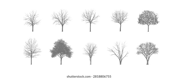 Ten grey trees with bare branches and leafy canopies arranged in two rows on a white background