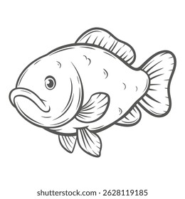 Tench Fish Outline Illustration, Tinca Tinca